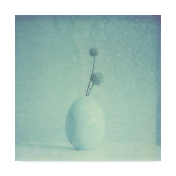 Trademark Fine Art 'Color Shade III' Canvas Art by Jason Johnson