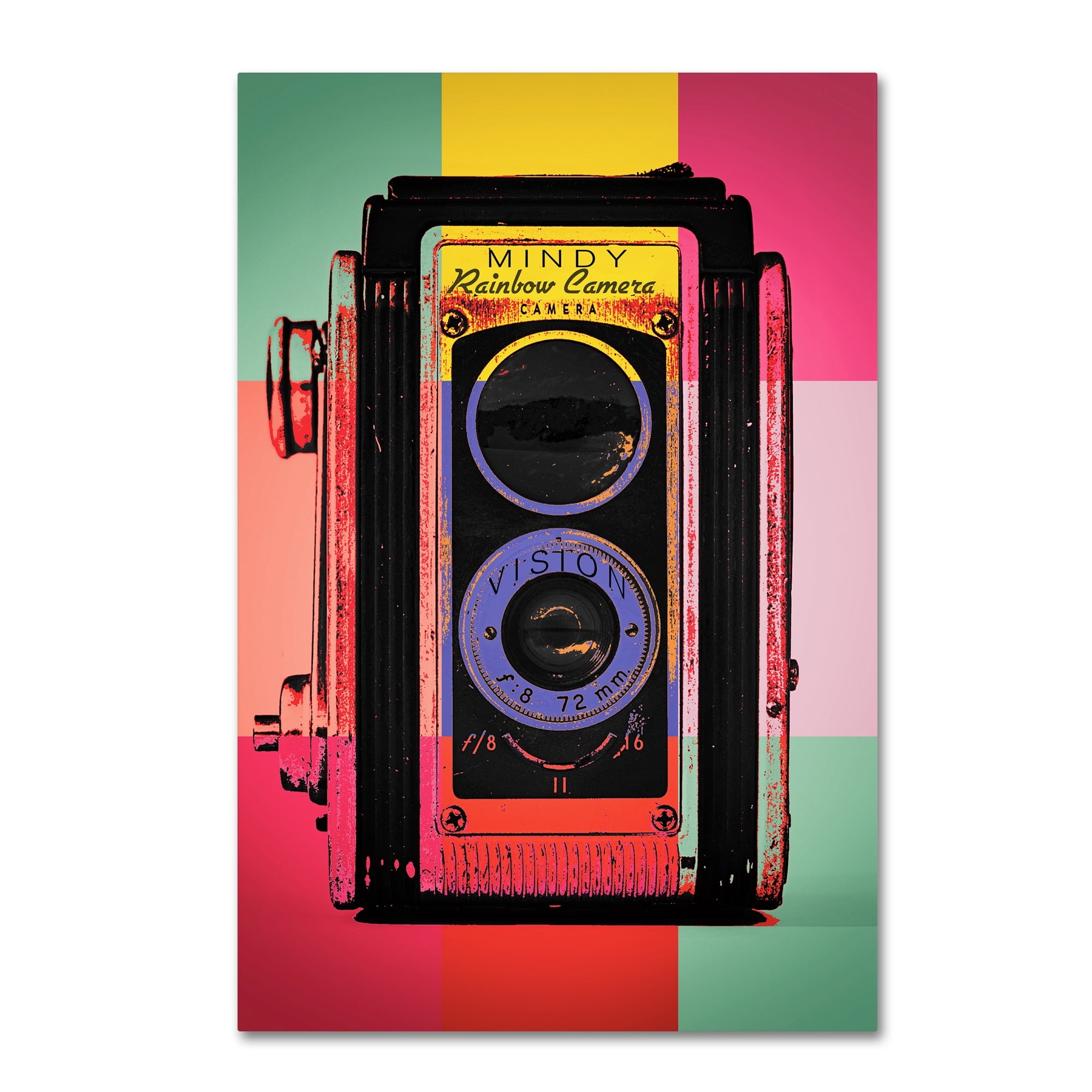 Trademark Fine Art 'Color Snap' Canvas Art by Mindy Sommers