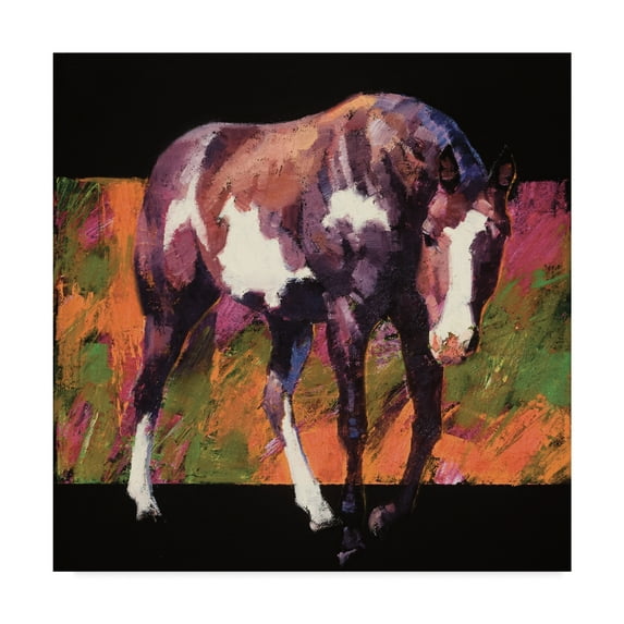 Trademark Fine Art 'Color Square III' Canvas Art by Julie T. Chapman