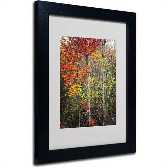 Trademark Fine Art "Color Touch" Canvas Art by Philippe Sainte-Laudy, Black Frame