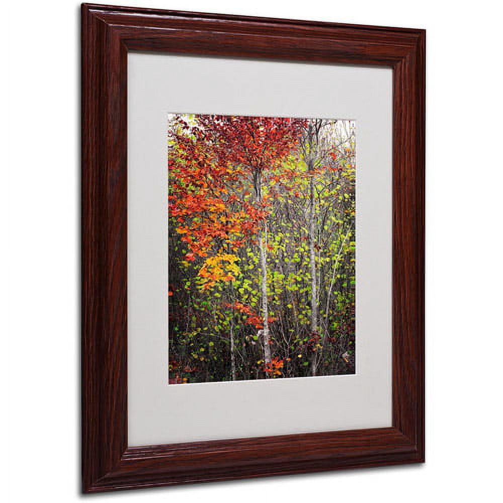 Trademark Fine Art "Color Touch" Canvas Art by Philippe Sainte-Laudy, Wood Frame