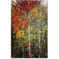 thumbnail image 1 of Trademark Fine Art "Color Touch" Canvas Art by Philippe Sainte-Laudy, 1 of 3