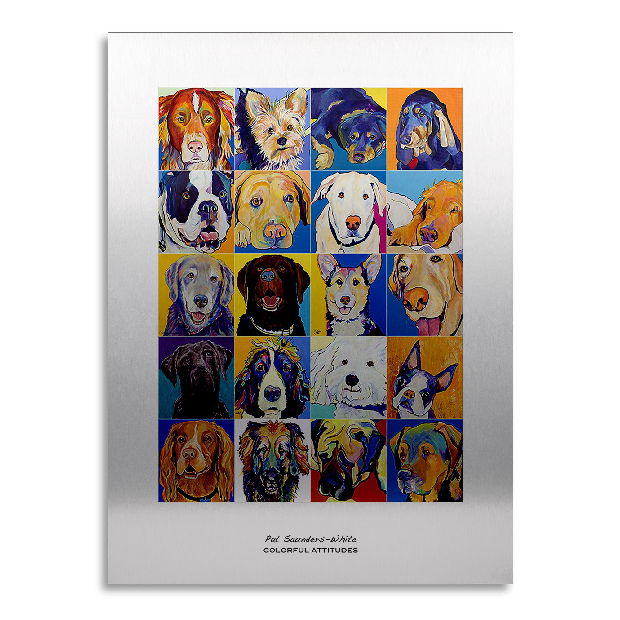 Trademark Fine Art 'Colorful Attitudes Poster' Brushed Aluminum Wall Art Art by Pat Saunders-White