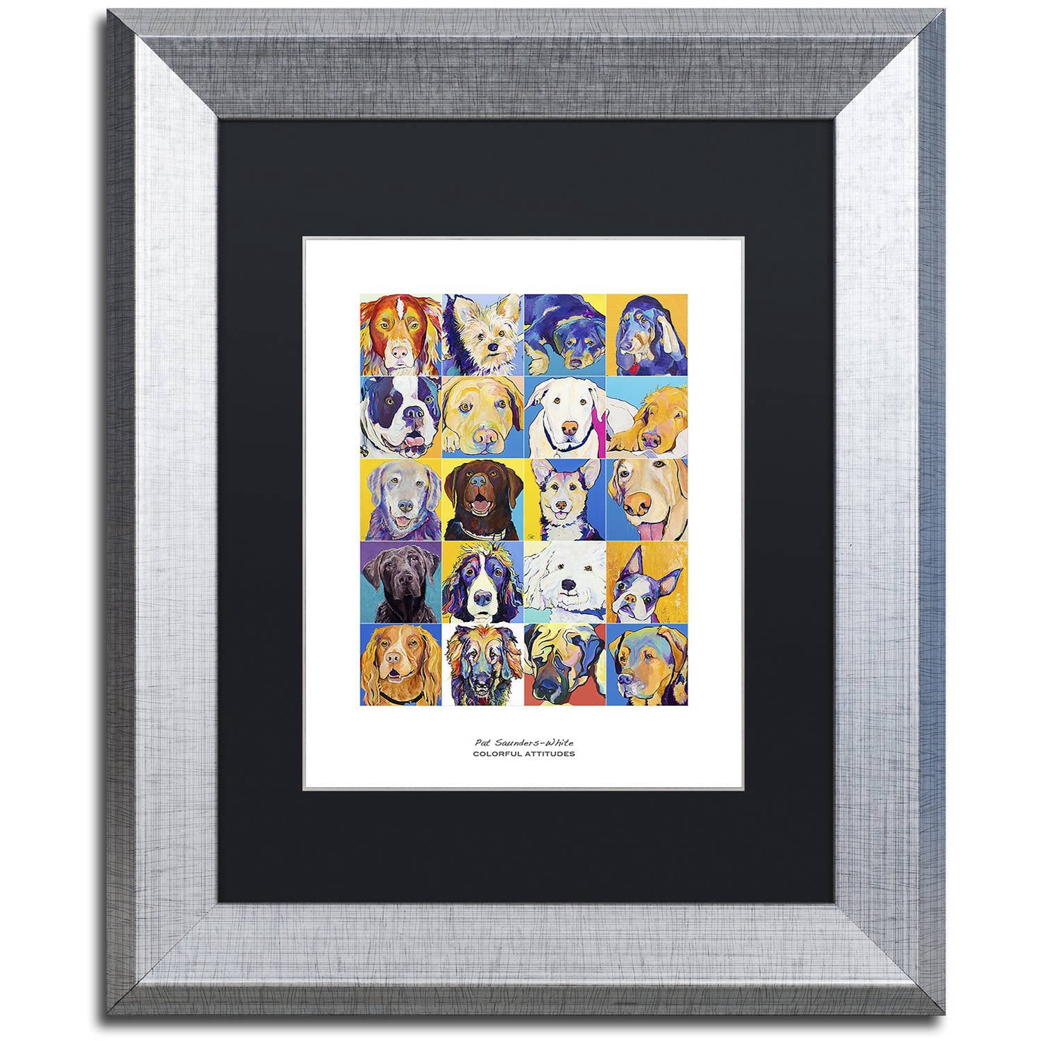 Trademark Fine Art "Colorful Attitudes Poster" Canvas Art by Pat Saunders-White, Black Matte, Silver Frame