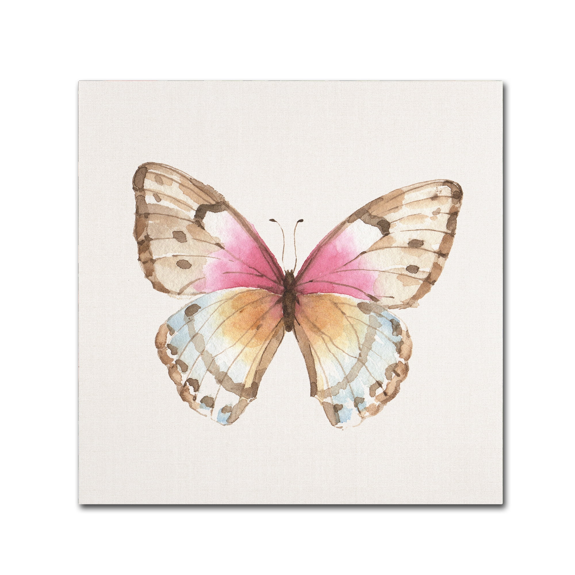 Large Multicolor Watercolor Butterfly Canvas Art