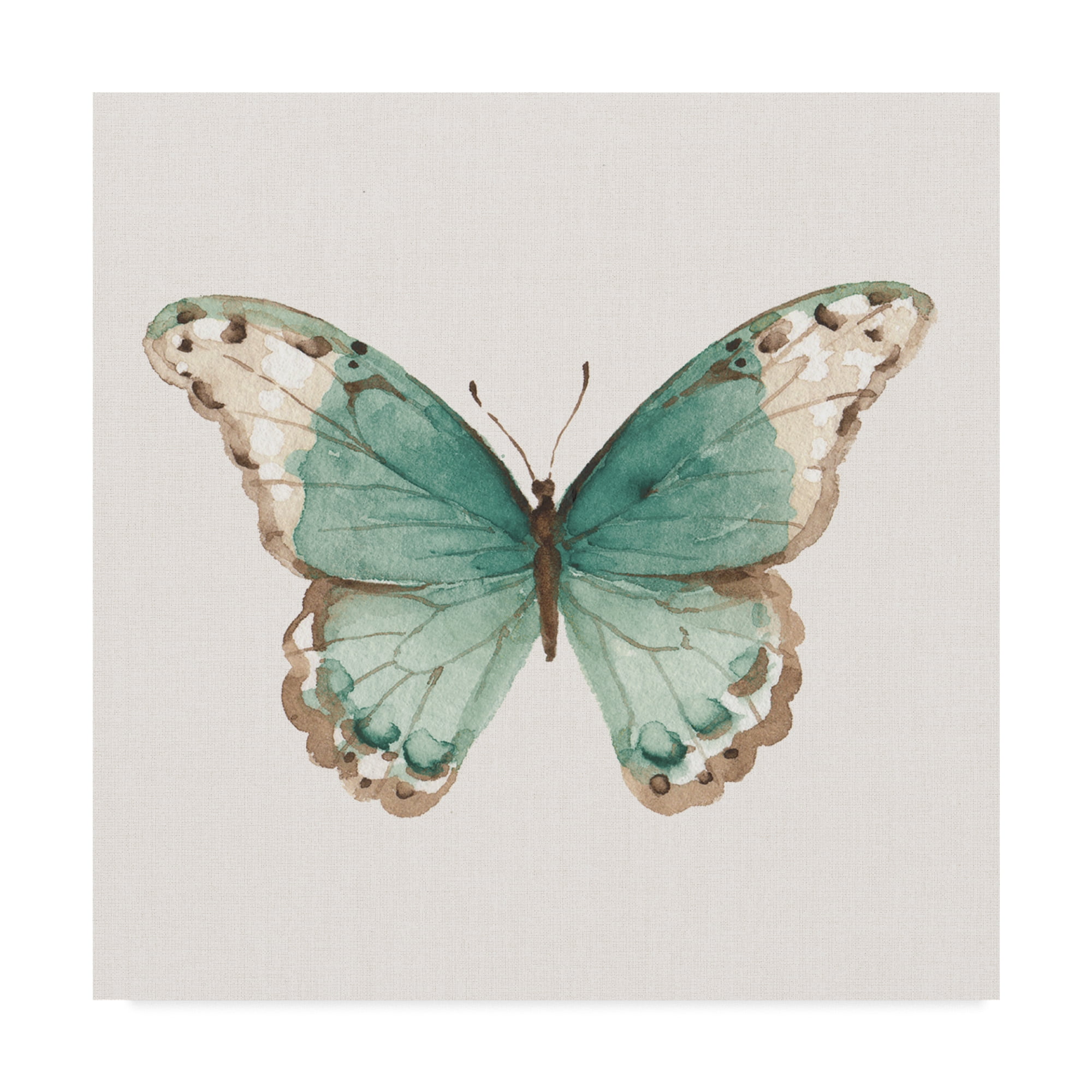 Trademark Fine Art 'Colorful Breeze XII with Teal' Canvas Art by Lisa Audit