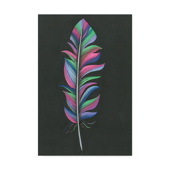 Trademark Fine Art 'Colorful Feather' Canvas Art by Nicky Kumar
