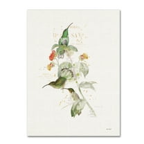 Trademark Fine Art 'Colorful Hummingbirds III' Canvas Art by Katie Pertiet