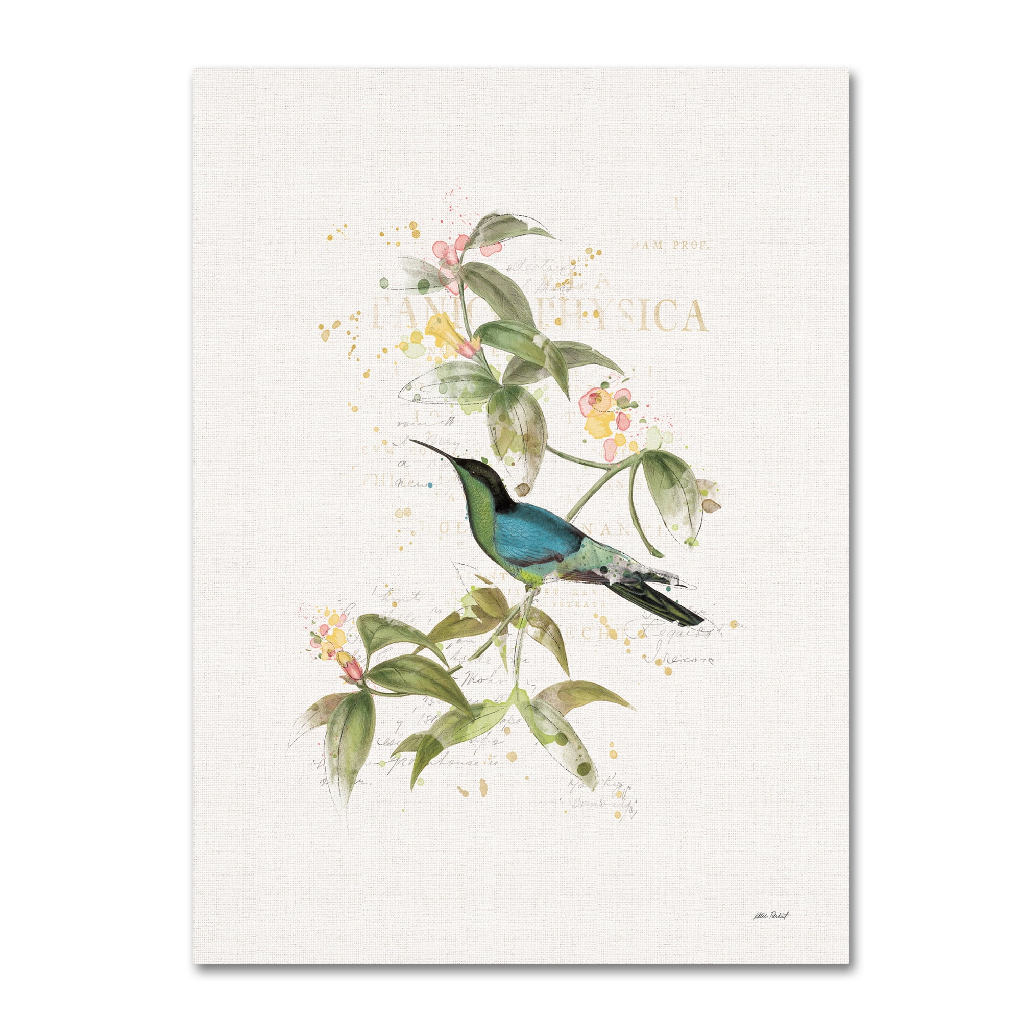 Trademark Fine Art 'Colorful Hummingbirds IV' Canvas Art by Katie Pertiet