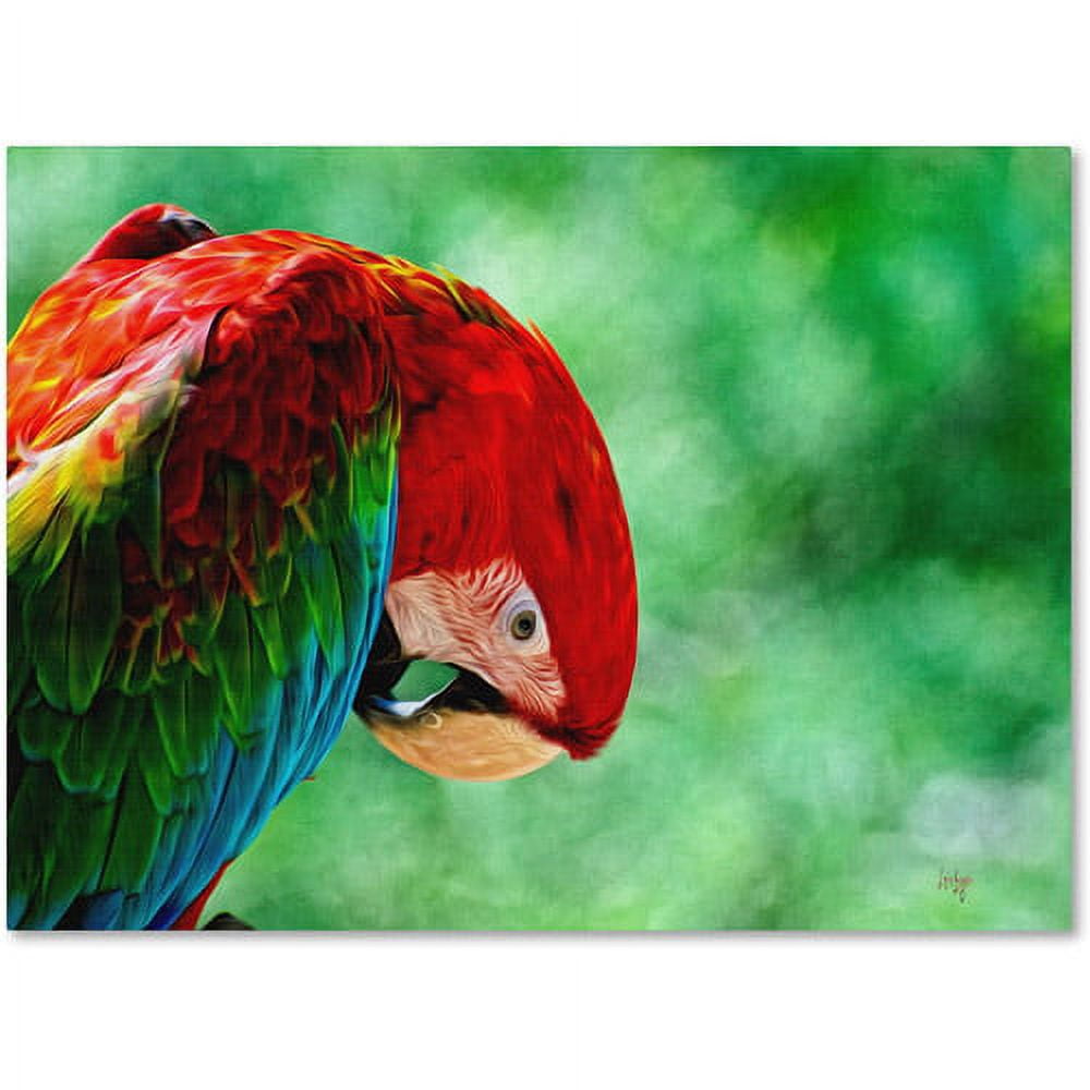 Trademark Fine Art "Colorful Macaw" Canvas Art by Lois Bryan