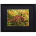 thumbnail image 1 of Trademark Fine Art "Colorful Maples" Canvas Art by Kurt Shaffer, Black Matte, Black Frame, 1 of 4
