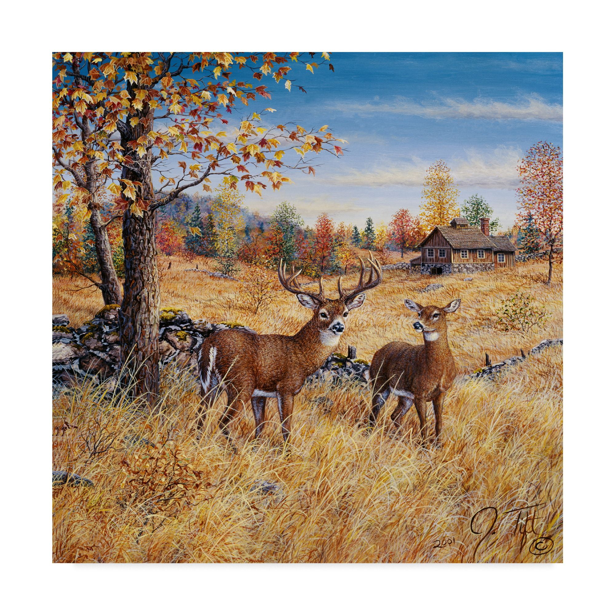 Trademark Fine Art 'Colors Of Autumn' Canvas Art by Jeff Tift