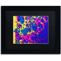 Trademark Fine Art "Colour Fun VI" Canvas Art by Beata Czyzowska Young, Black Matte, Black Frame