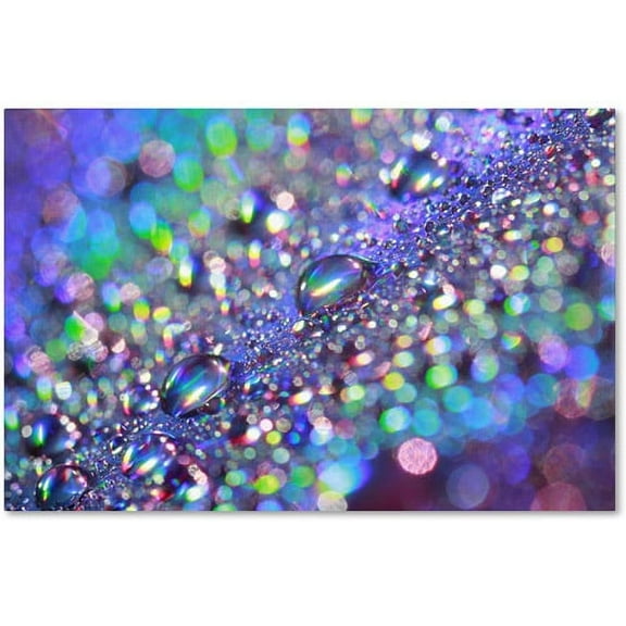 Trademark Fine Art Beata Czyzowska Young Colours of Rainbow Canvas Wall Art - 12x19