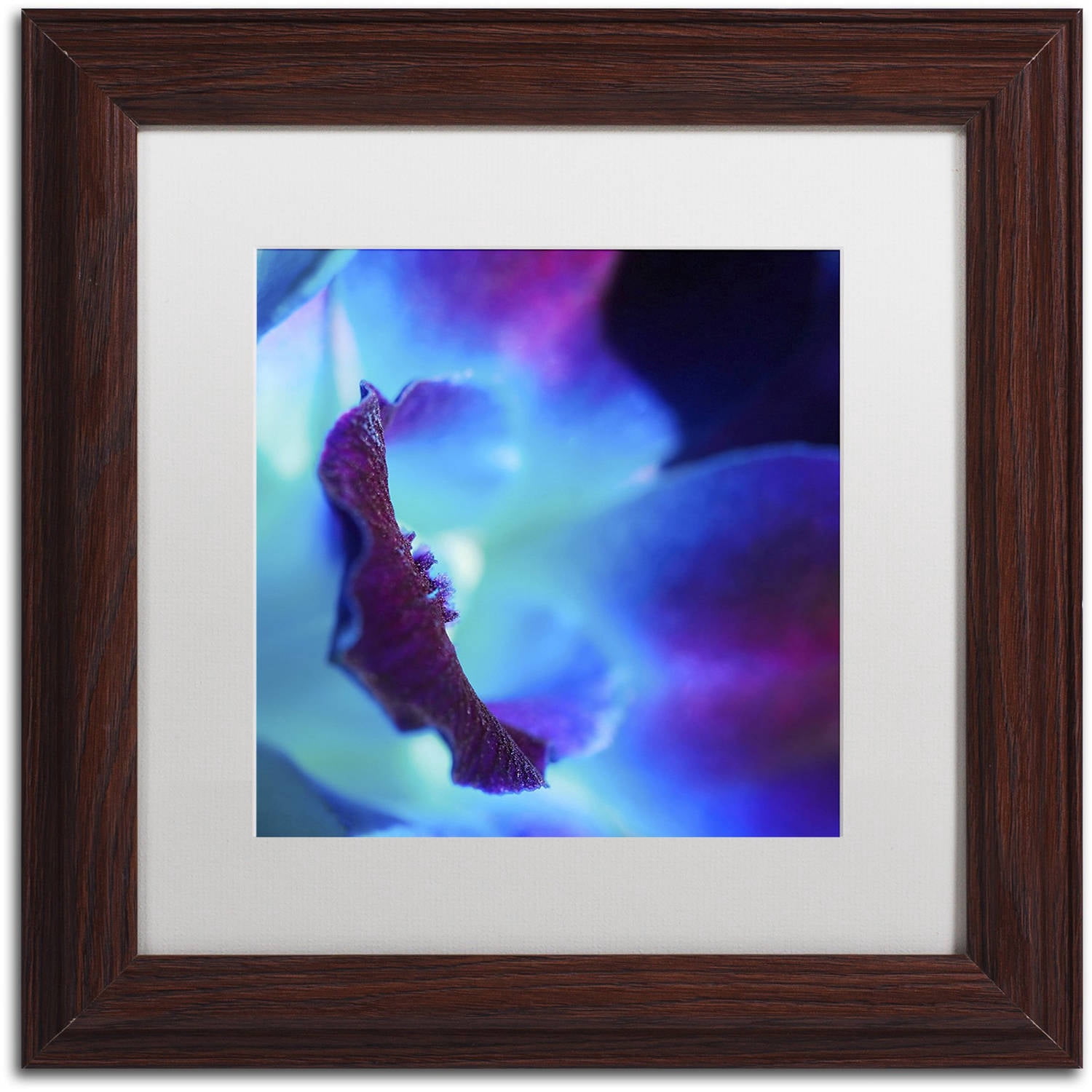 Trademark Fine Art "Colours of Tomorrow" Canvas Art by Beata Czyzowska Young, White Matte, Wood Frame