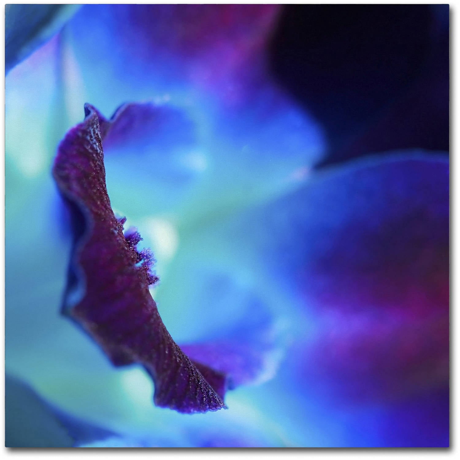 Trademark Fine Art "Colours of Tomorrow" Canvas Art by Beata Czyzowska Young
