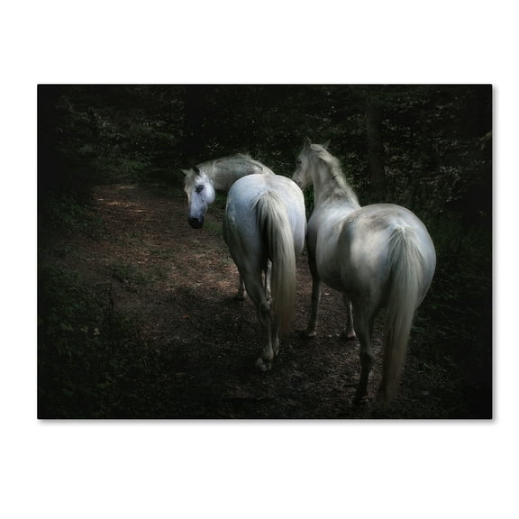 Trademark Fine Art 'Come' Canvas Art by Holger Droste