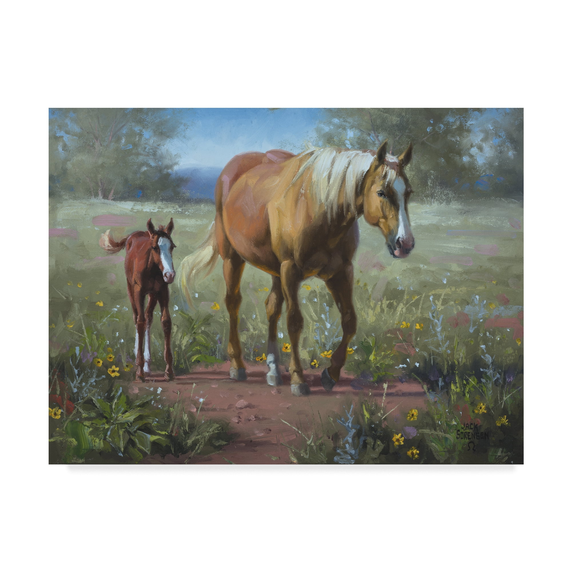 Trademark Fine Art 'Comin In' Canvas Art by Jack Sorenson