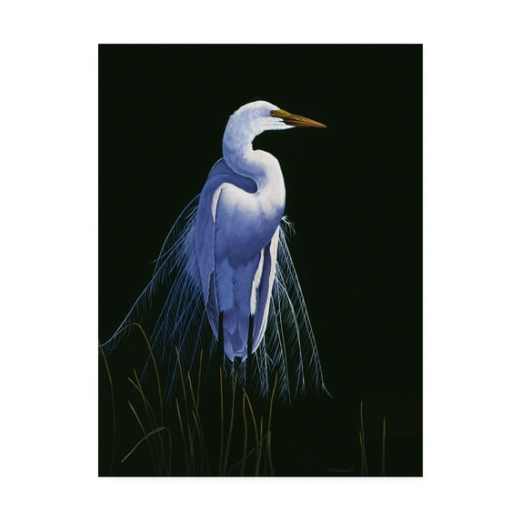 Trademark Fine Art 'Common Egret In Breeding Plumage' Canvas Art by Michael Budden