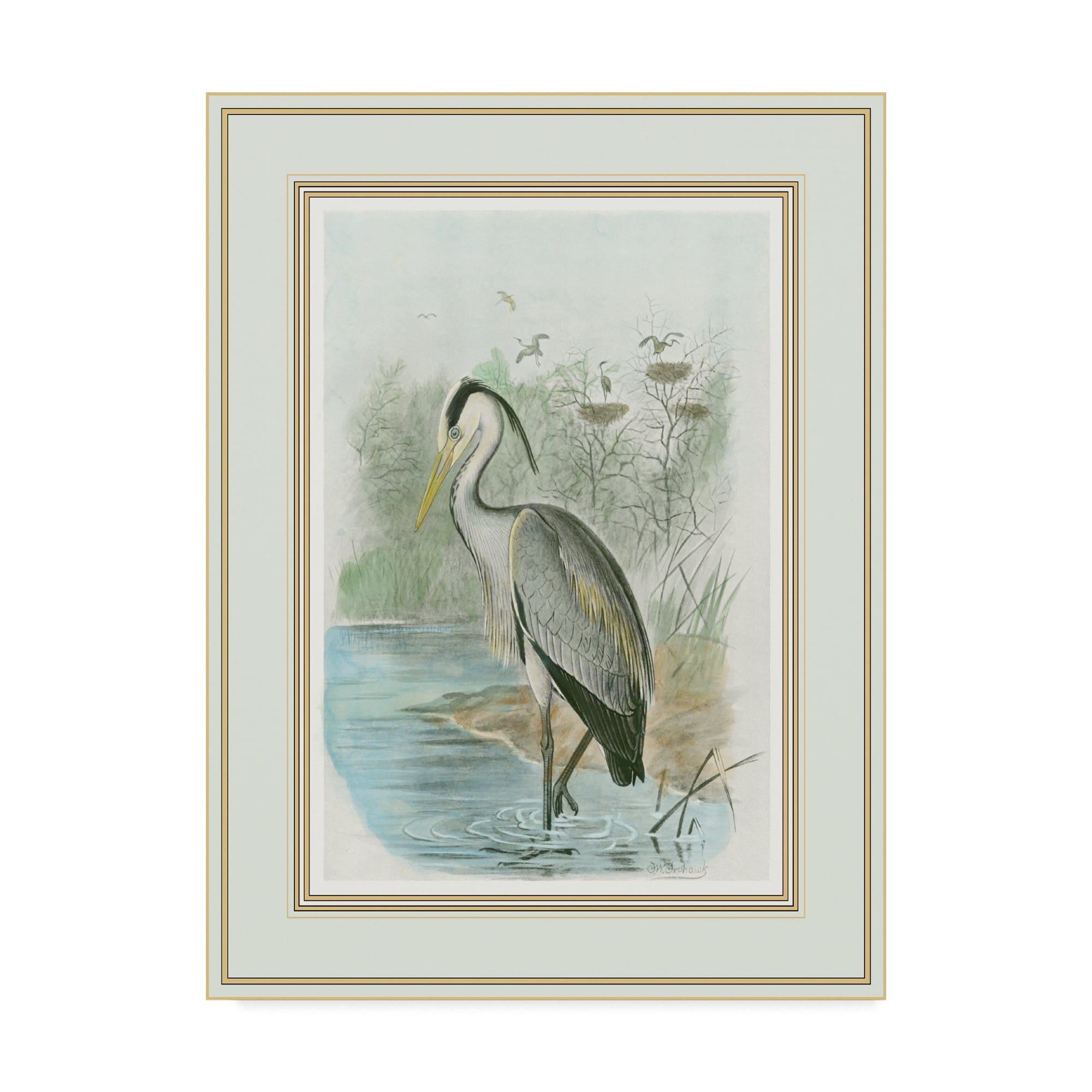 Trademark Fine Art 'Common Heron' Canvas Art by F.W. Frohawk