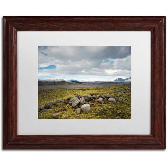 Trademark Fine Art 'Complemental' Canvas Art by Philippe Sainte-Laudy, White Matte, Wood Frame