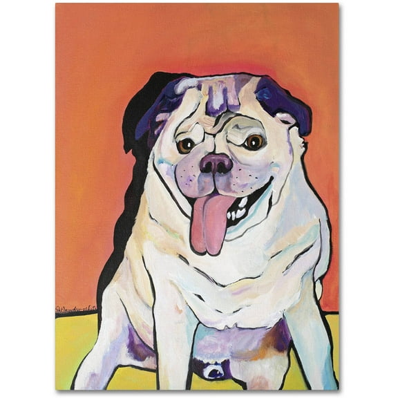 Trademark Fine Art "Conan" Canvas Art by Pat Saunders-White