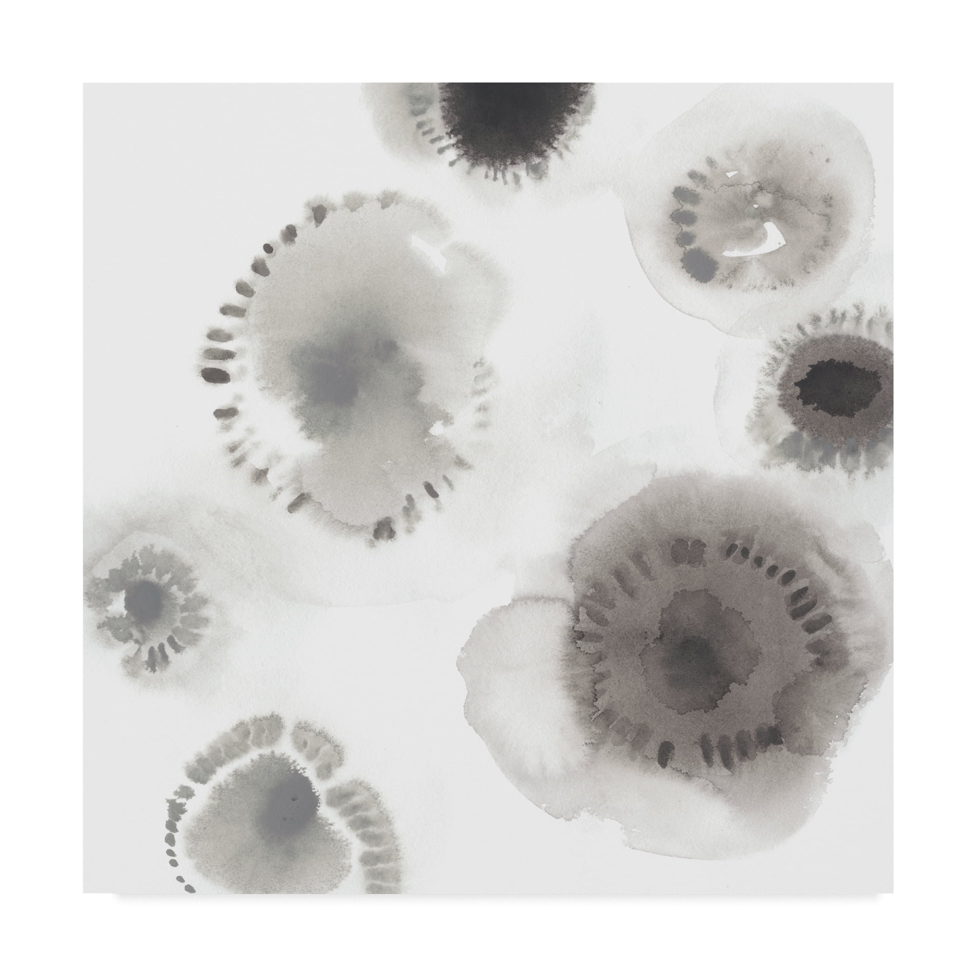 Trademark Fine Art 'Concentric Petals II' Canvas Art by June Erica Vess