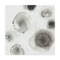 Trademark Fine Art 'Concentric Petals II' Canvas Art by June Erica Vess