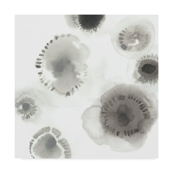 Trademark Fine Art 'Concentric Petals II' Canvas Art by June Erica Vess