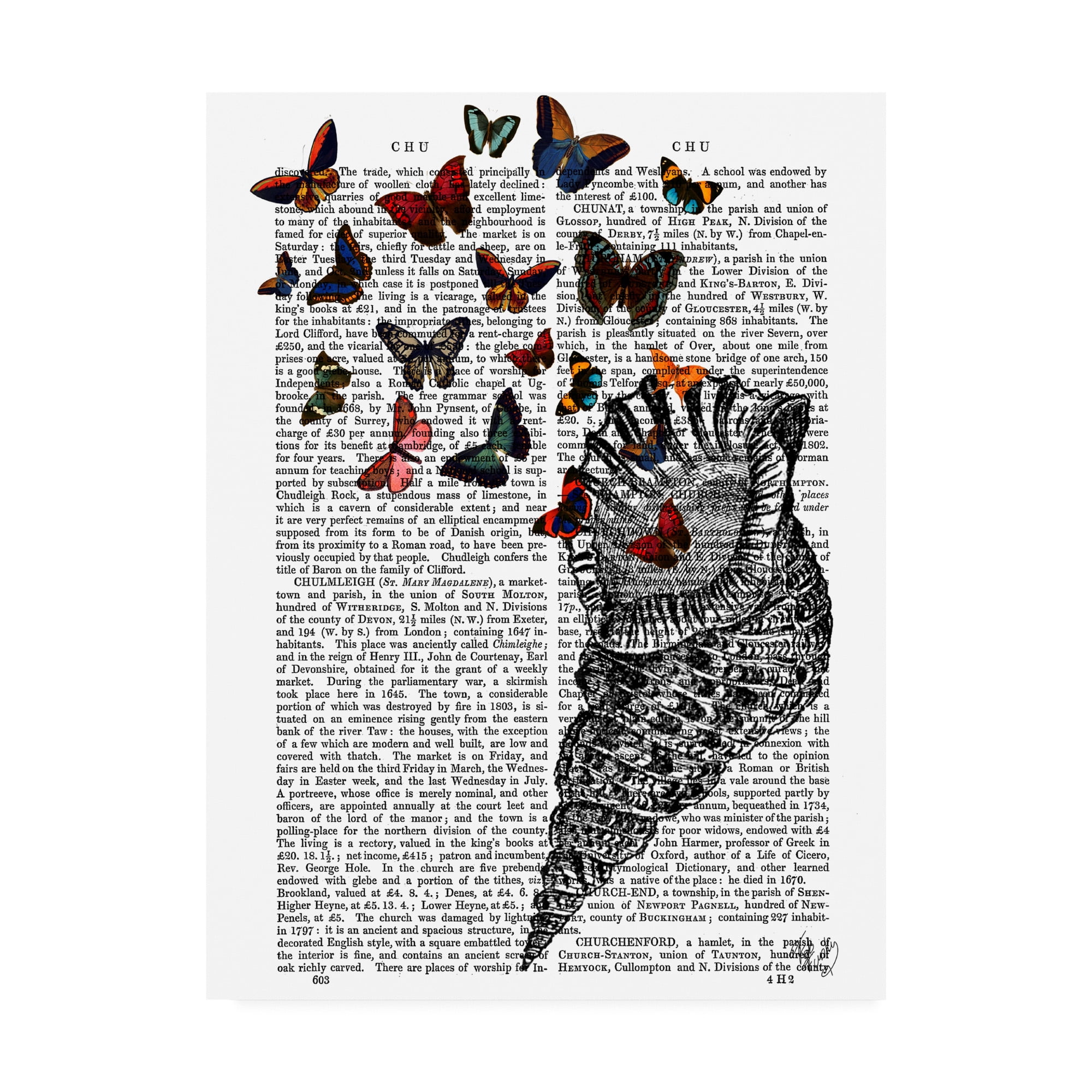 Trademark Fine Art 'Conch Shell and Butterflies' Canvas Art by Fab Funky