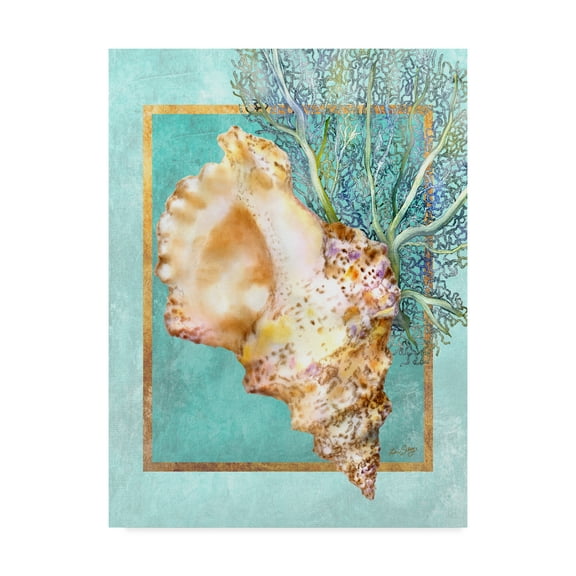 Trademark Fine Art 'Conch Shell and Coral' Canvas Art by Lori Schory