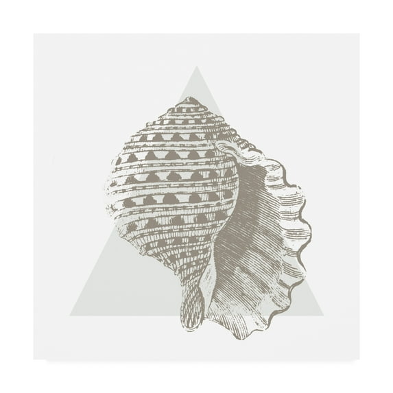 Trademark Fine Art 'Conchology Sketches III' Canvas Art by Wild Apple Portfolio