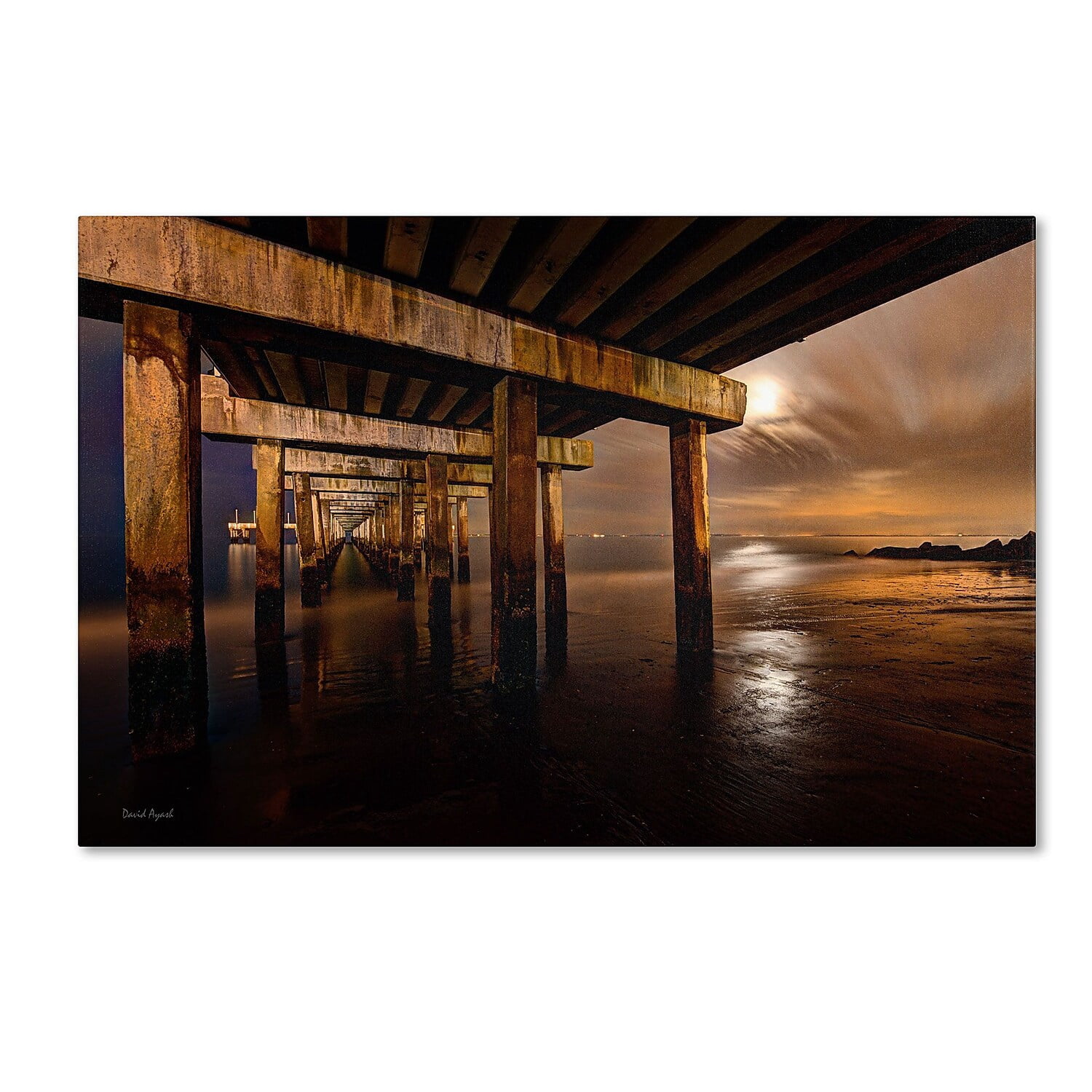 Trademark Fine Art "Coney Island - Brooklyn, NY II" Canvas Art by David Ayash