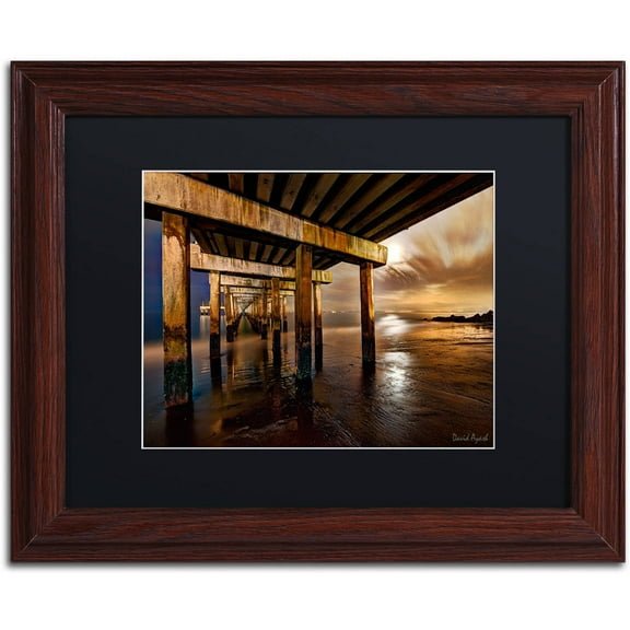 Trademark Fine Art "Coney Island Pier by Moonlight" Canvas Art by David Ayash Black Matte, Wood Frame