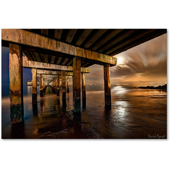 Trademark Fine Art "Coney Island Pier by Moonlight" Canvas Art by David Ayash