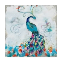 Trademark Fine Art 'Confetti Peacock I' Canvas Art by Jennifer Goldberger