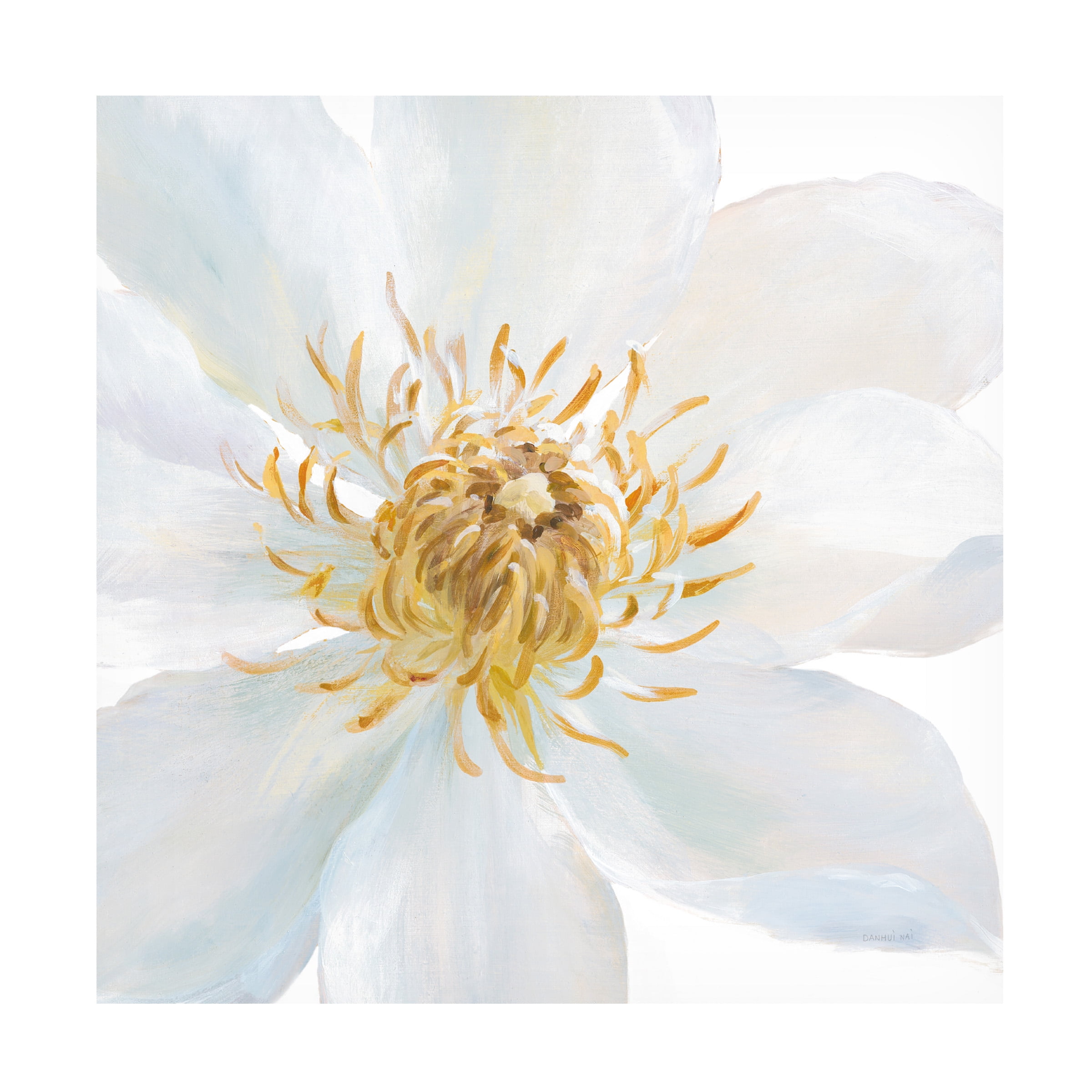 Trademark Fine Art 'Contemporary Clematis Gray' Canvas Art by Danhui Nai