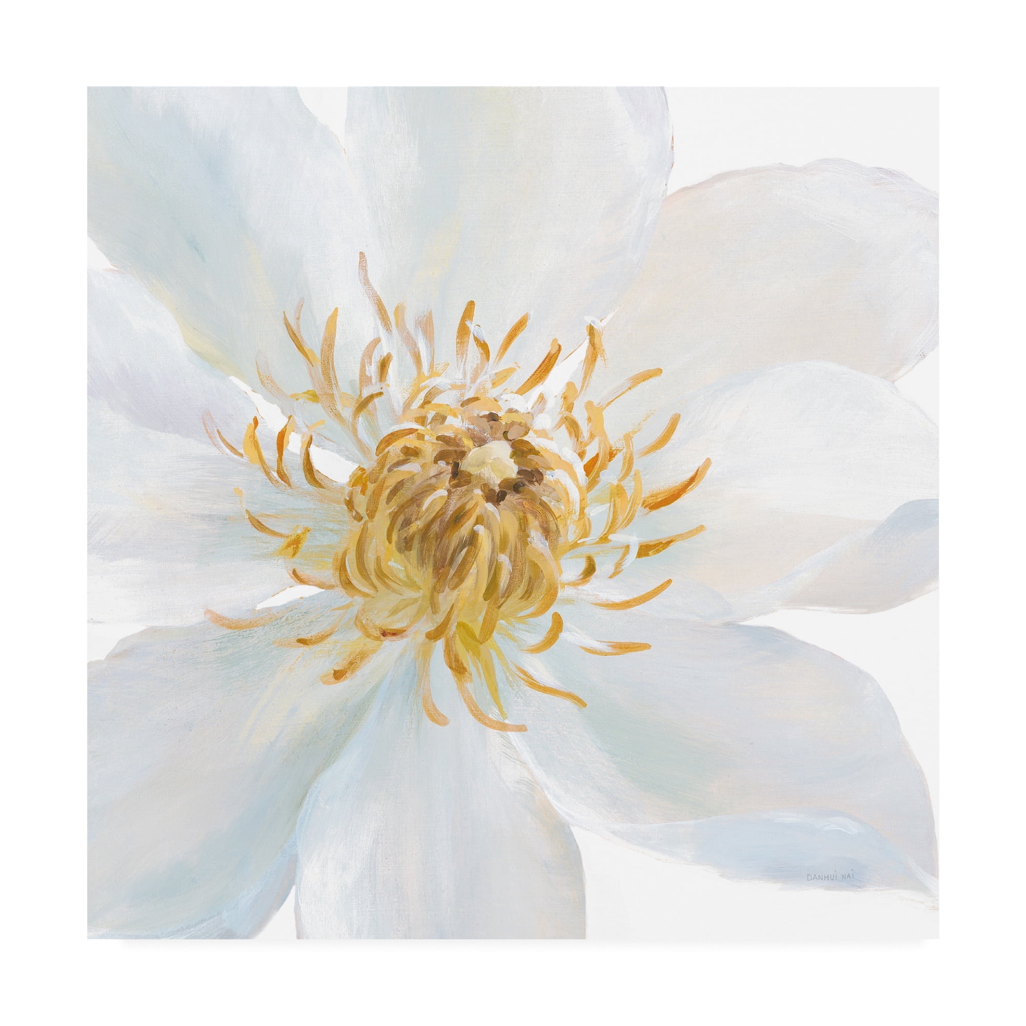 Trademark Fine Art 'Contemporary Clematis Gray' Canvas Art by Danhui Nai