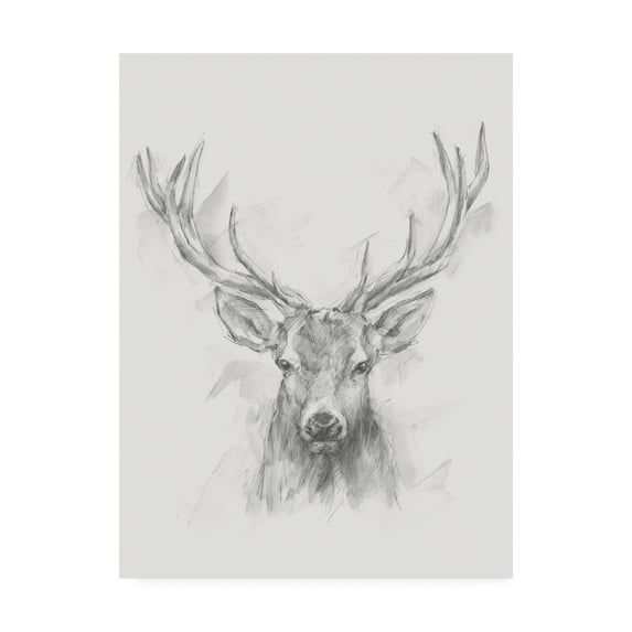 Trademark Fine Art 'Contemporary Elk Sketch I' Canvas Art by Ethan Harper