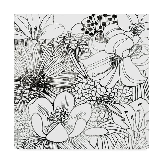 Trademark Fine Art 'Contemporary Garden II Black and White' Canvas Art by Michael Mullan