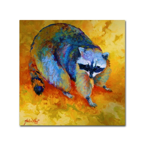 Trademark Fine Art 'Coon' Canvas Art by Marion Rose