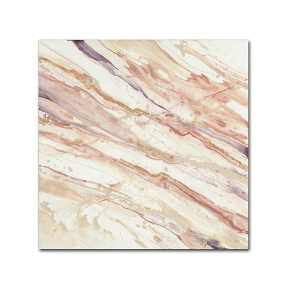 Trademark Fine Art 'Copper Dreams' Canvas Art by Albena Hristova