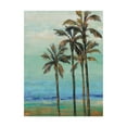 thumbnail image 1 of Trademark Fine Art 'Copper Palms I' Canvas Art by Silvia Vassileva, 1 of 3