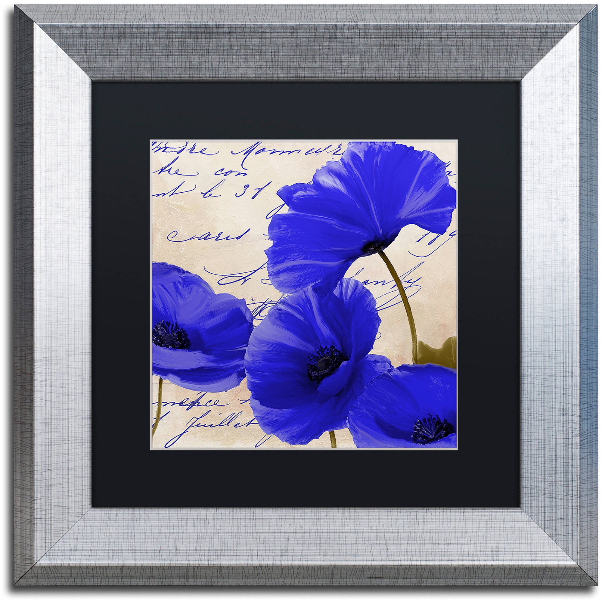 Trademark Fine Art "Coquelicots Bleues I" Canvas Art by Color Bakery Black Matte, Silver Frame