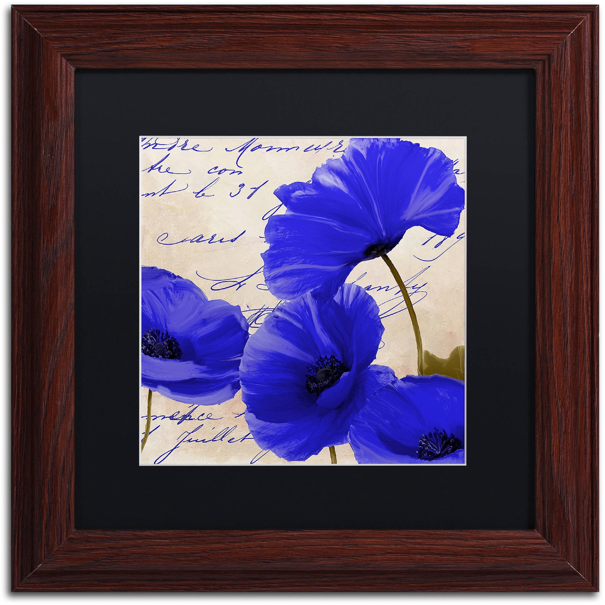 Trademark Fine Art "Coquelicots Bleues I" Canvas Art by Color Bakery Black Matte, Wood Frame