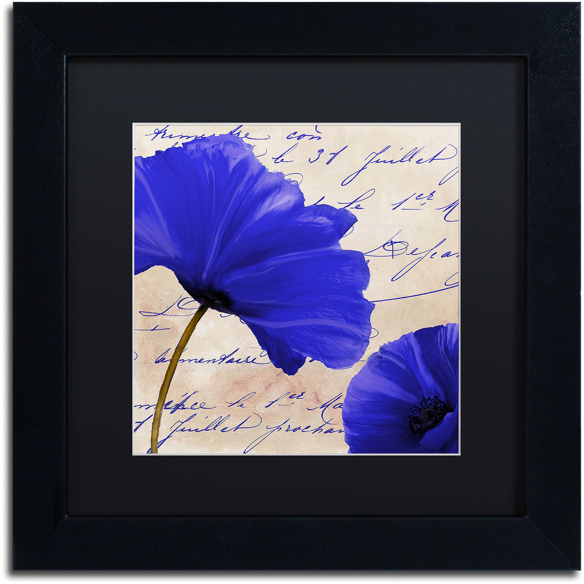 Trademark Fine Art "Coquelicots Bleues II" Canvas Art by Color Bakery Black Matte, Black Frame