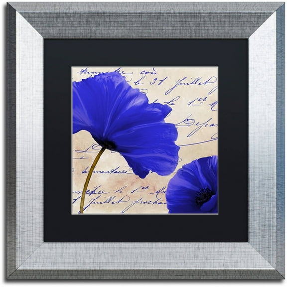 Trademark Fine Art "Coquelicots Bleues II" Canvas Art by Color Bakery Black Matte, Silver Frame