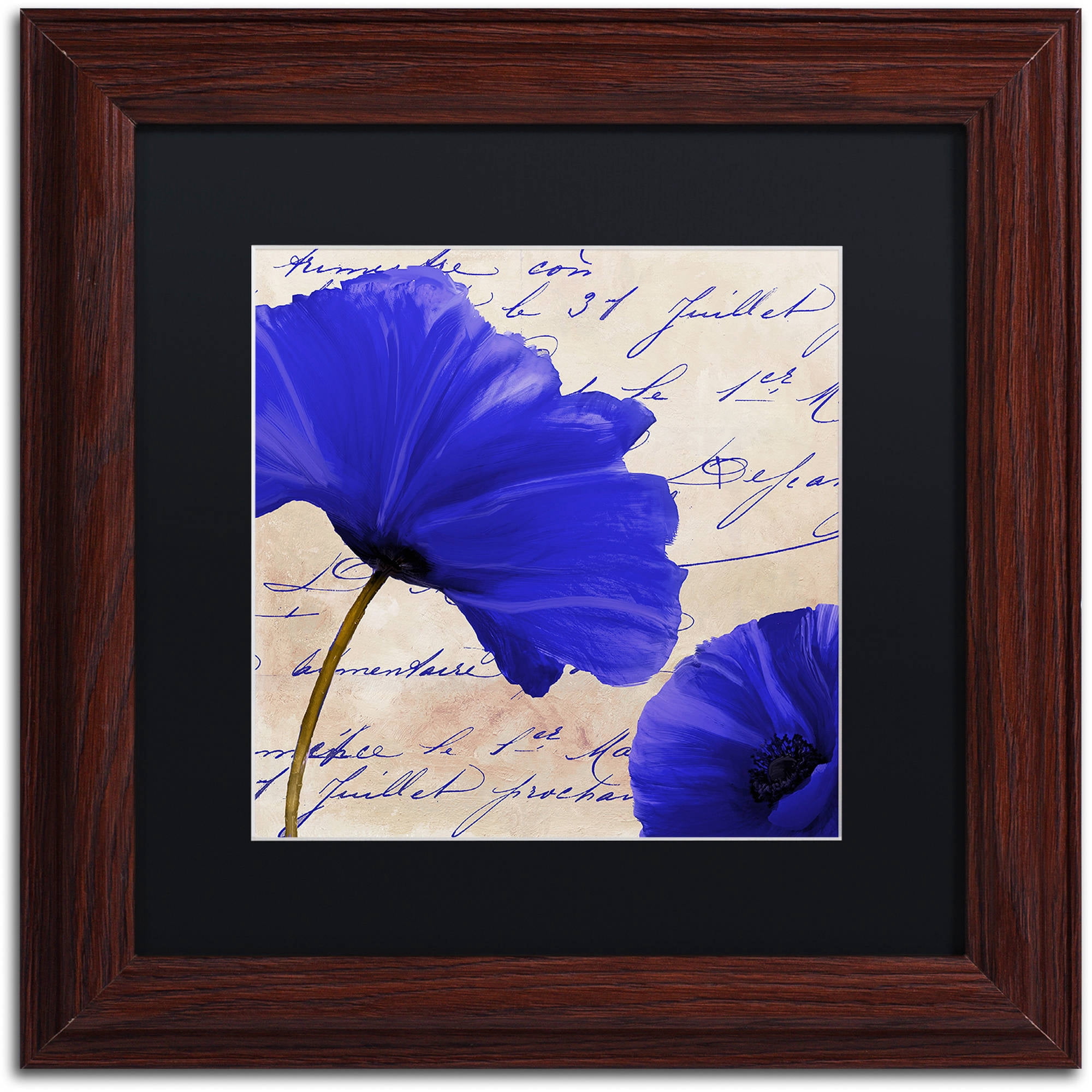 Trademark Fine Art "Coquelicots Bleues II" Canvas Art by Color Bakery Black Matte, Wood Frame