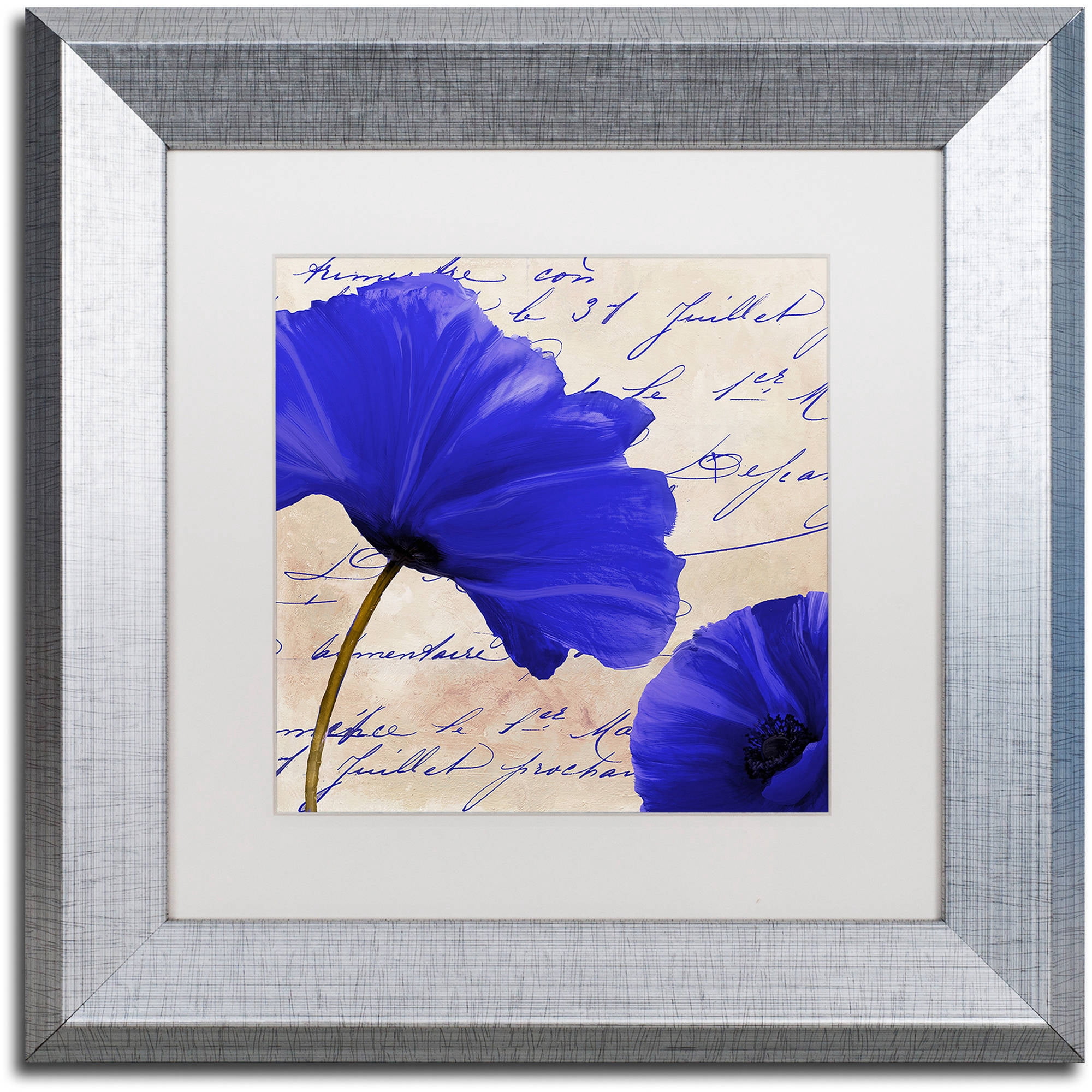 Trademark Fine Art "Coquelicots Bleues II" Canvas Art by Color Bakery White Matte, Silver Frame