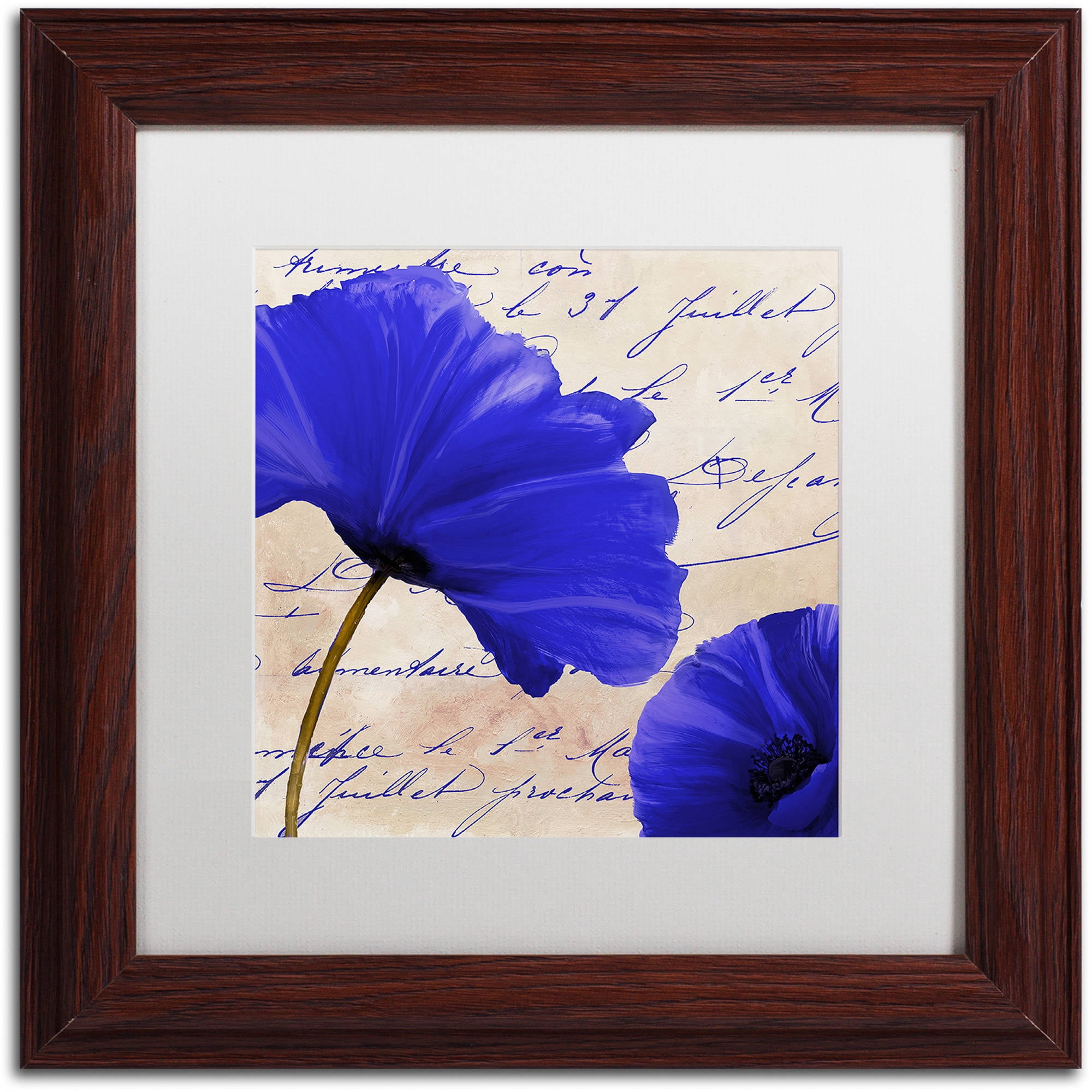 Trademark Fine Art "Coquelicots Bleues II" Canvas Art by Color Bakery White Matte, Wood Frame